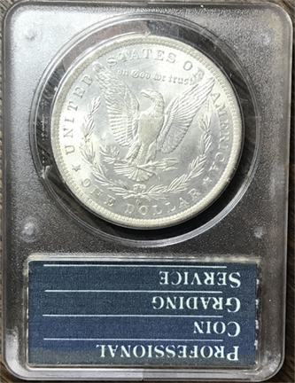 28-Days-Of-The-Morgan-Dollars-Part-5