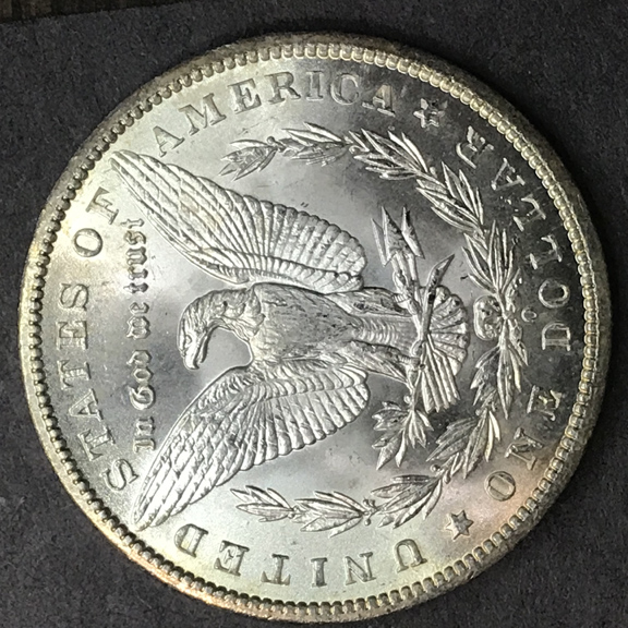 28-Days-Of-The-Morgan-Dollars-Part-5