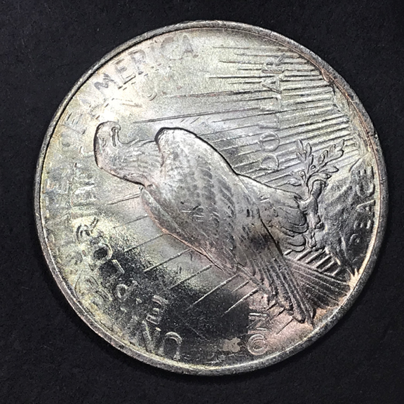 10-Days-Of-Peace-Dollars!