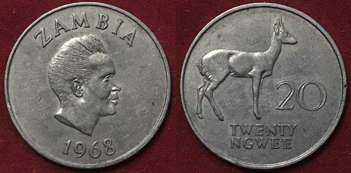 Post-Your-Coins-Representing-The-Animal-Kingdom.