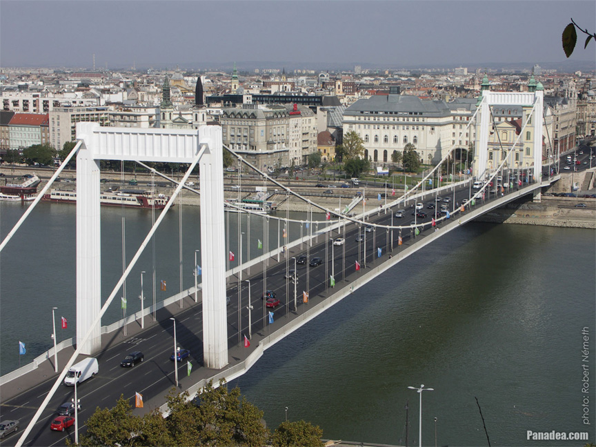 Post-Your-Coins-And-Medals-With-Bridges