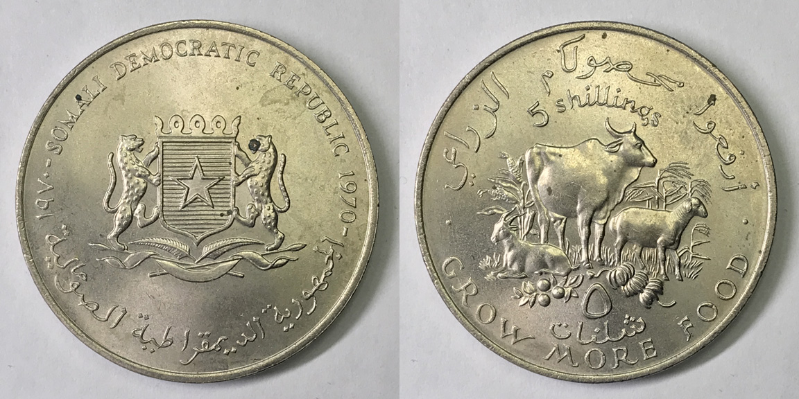 Bovine-Coins---Post-Yours