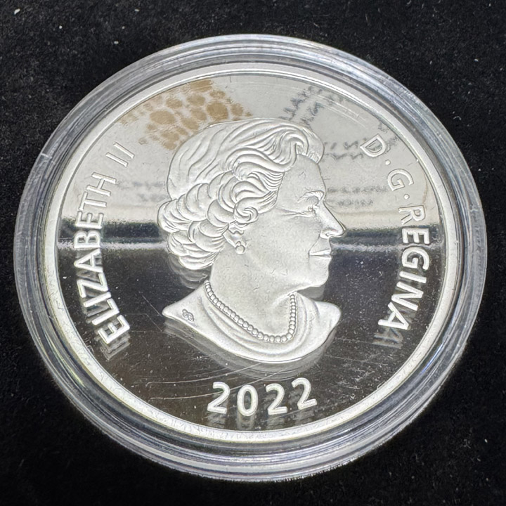 Musicians-On-Coins---Post-Your-Examples