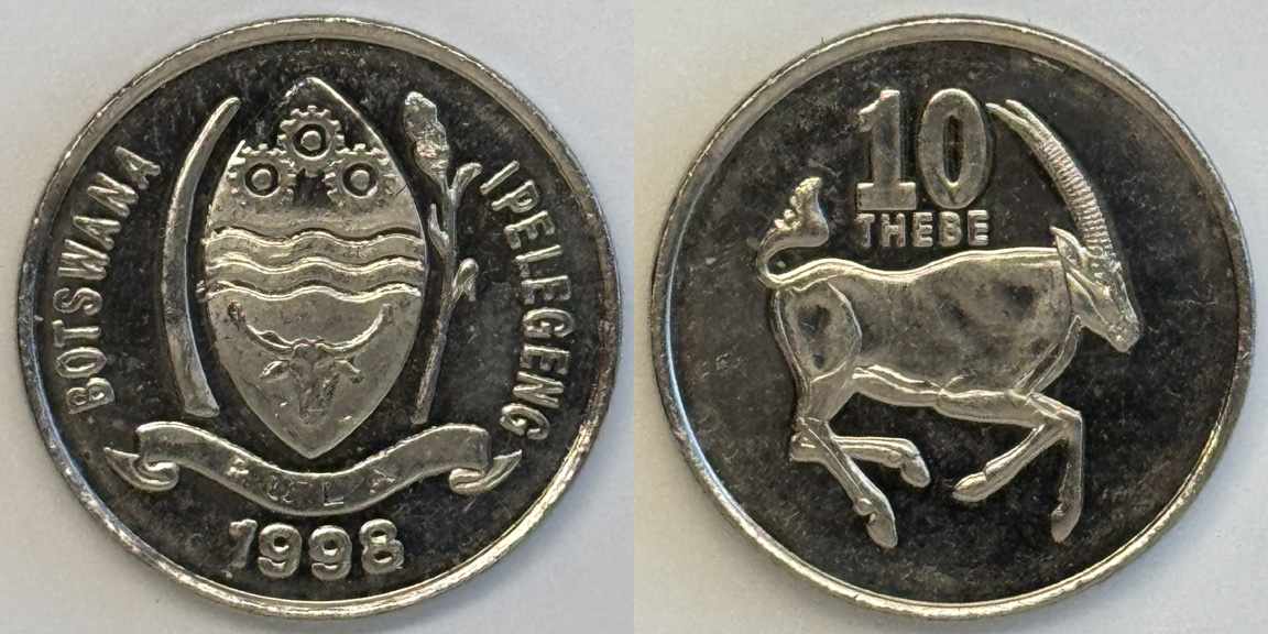 Bovine-Coins---Post-Yours