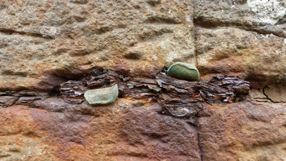 Don't-Leave-Coins-At-The-Giant's-Causeway!