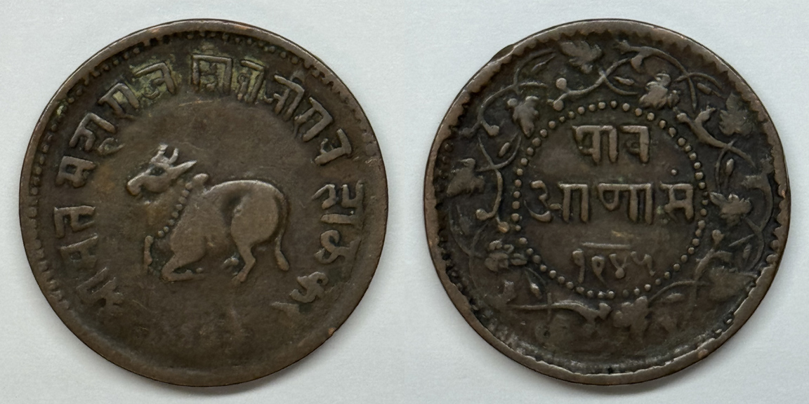Bovine-Coins---Post-Yours