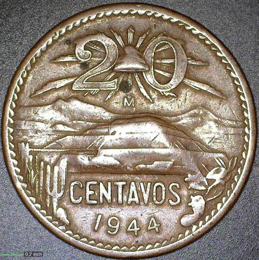 I-Am-Assuming-These-Are-Mexican-Coinage?