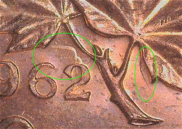 Double-Hanging-2-On-'62-Canada-Cent,-Plus-Glob-Joining-On-Leaf