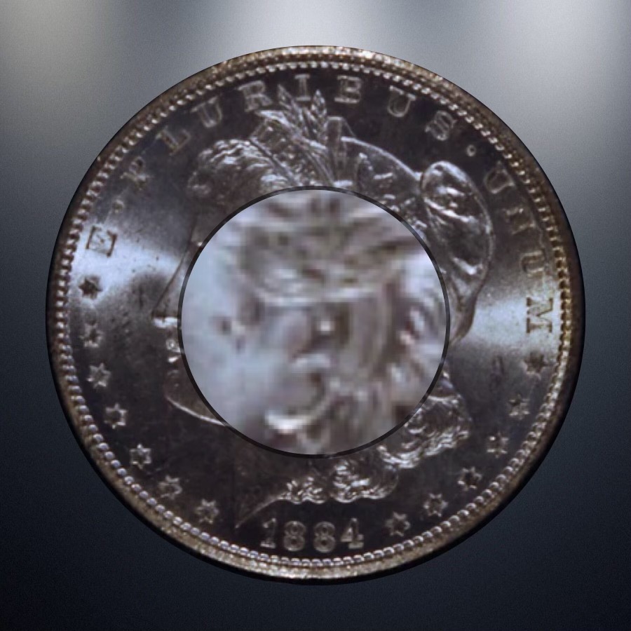 1884-Morgan-Dollar-CC-Major-Error-To-Ear-And-Spitting-Eagle-Bu/Unc