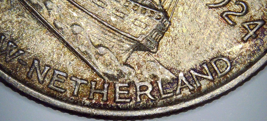 For-Grading-And-Opinions---1924-Huguenot-Commemorative-Half-Dollar