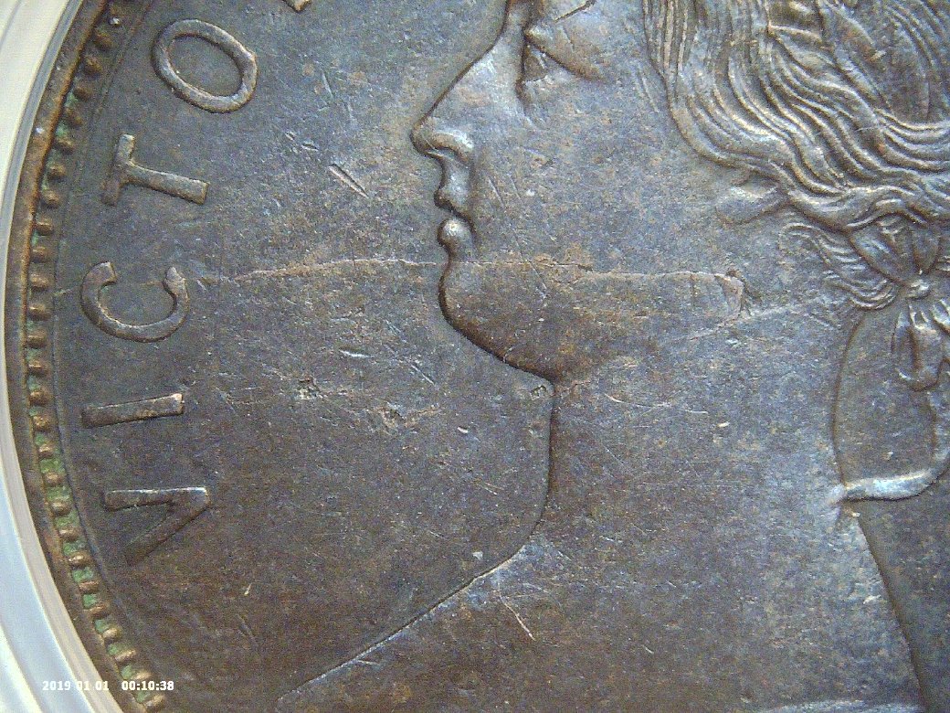 Opinions-Needed---1880-NFLD-One-Cent