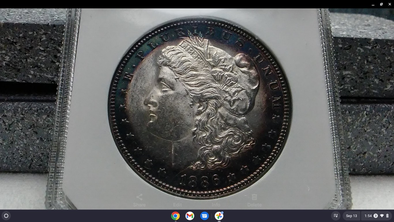 For-Grading---1886-Morgan-Dollar