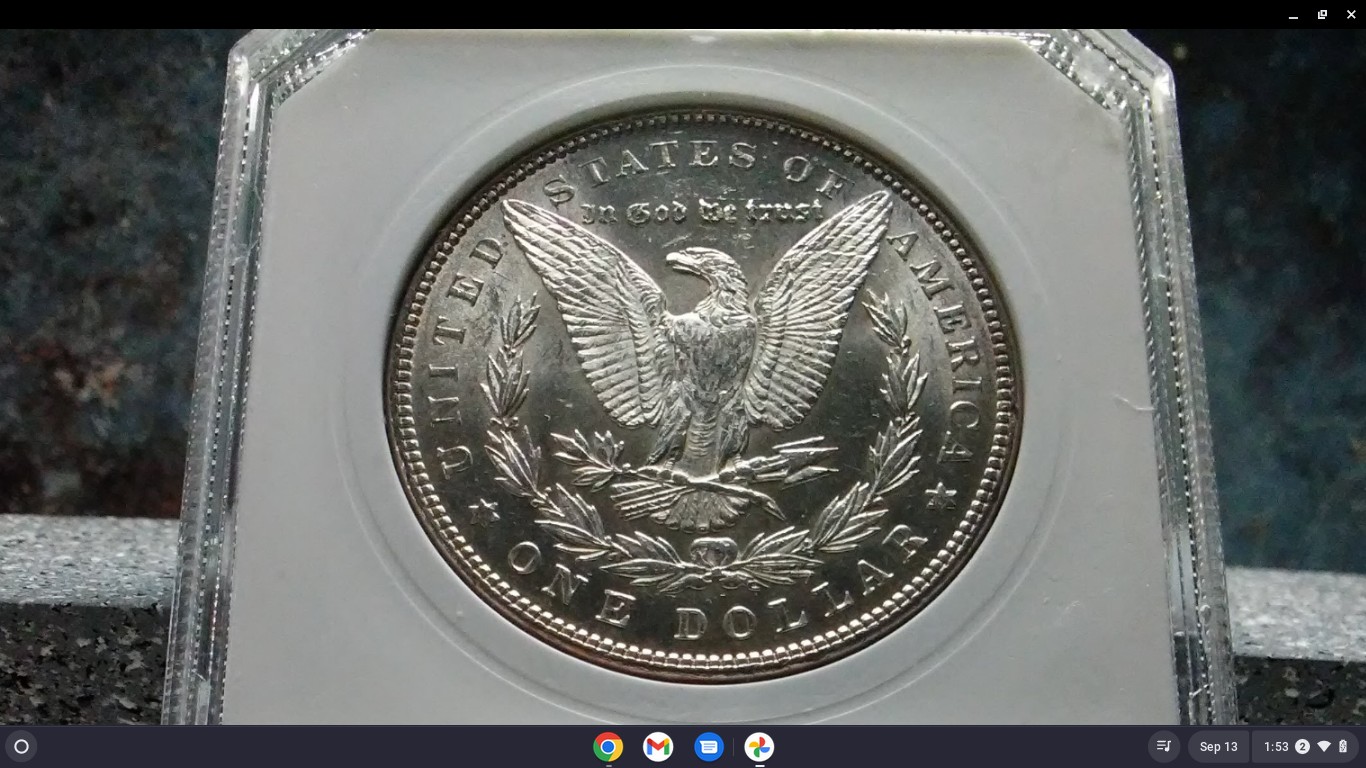 For-Grading---1886-Morgan-Dollar