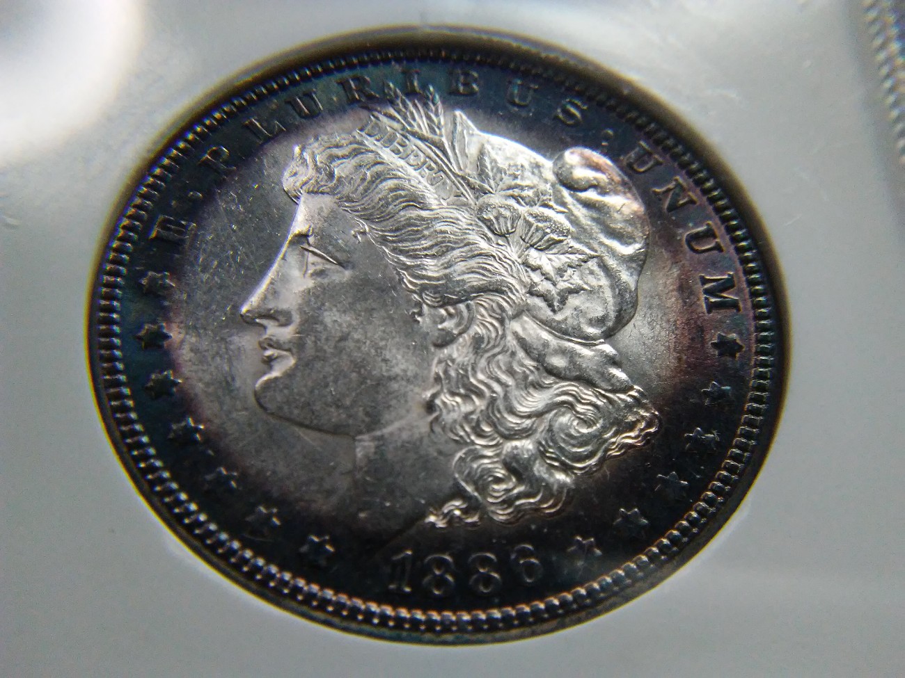 For-Grading---1886-Morgan-Dollar