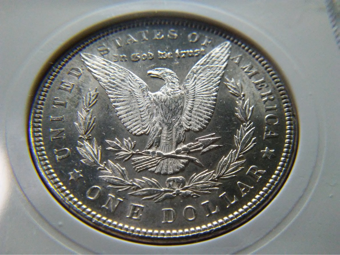 For-Grading---1886-Morgan-Dollar