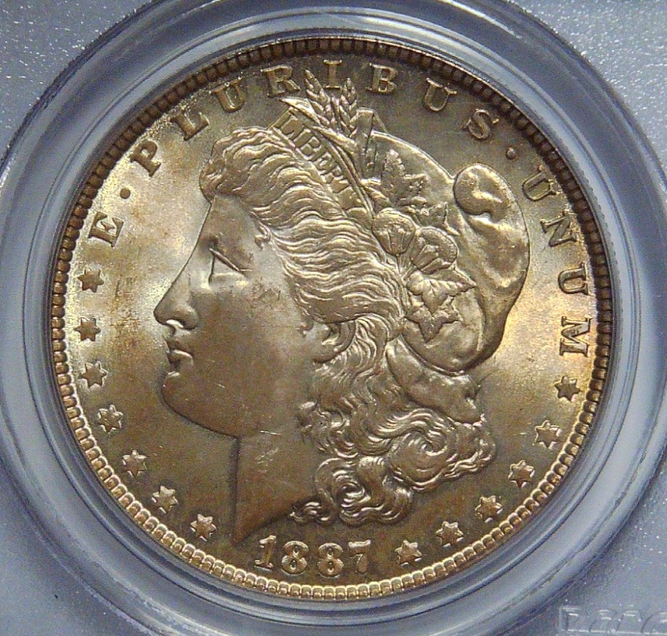 1887-Morgan-Dollar---VAM-Help