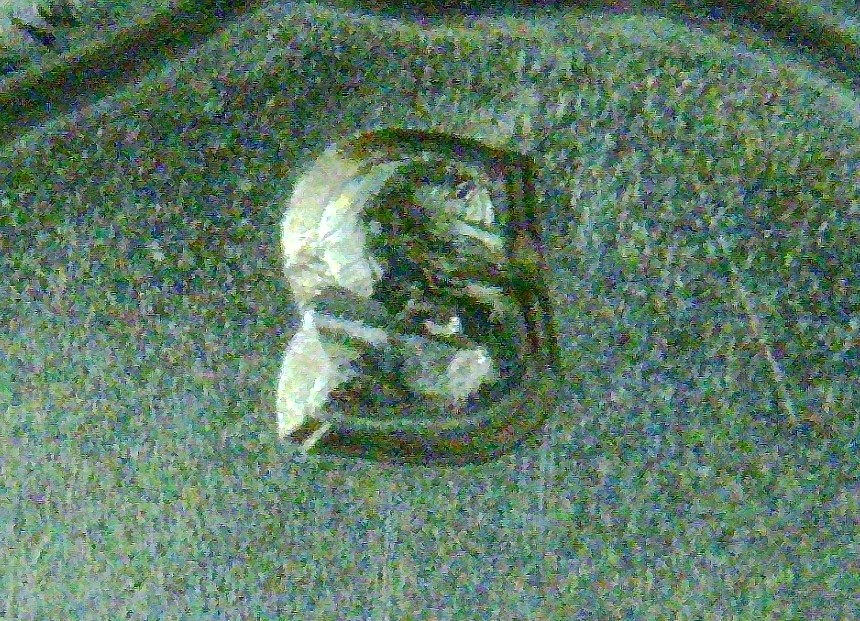 1943-S-Washington-Quarter---Trumpet-Tail-MM?