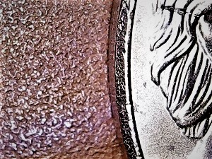 2018-D-Jefferson-Nickel-
