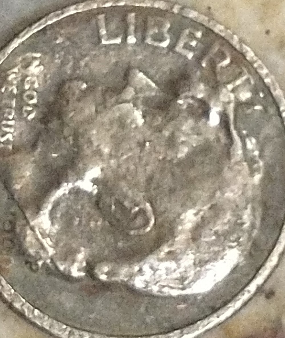 What-The-Heck-Am-I-Looking-At-On-This-Ugly-Thing?-1990-Dime