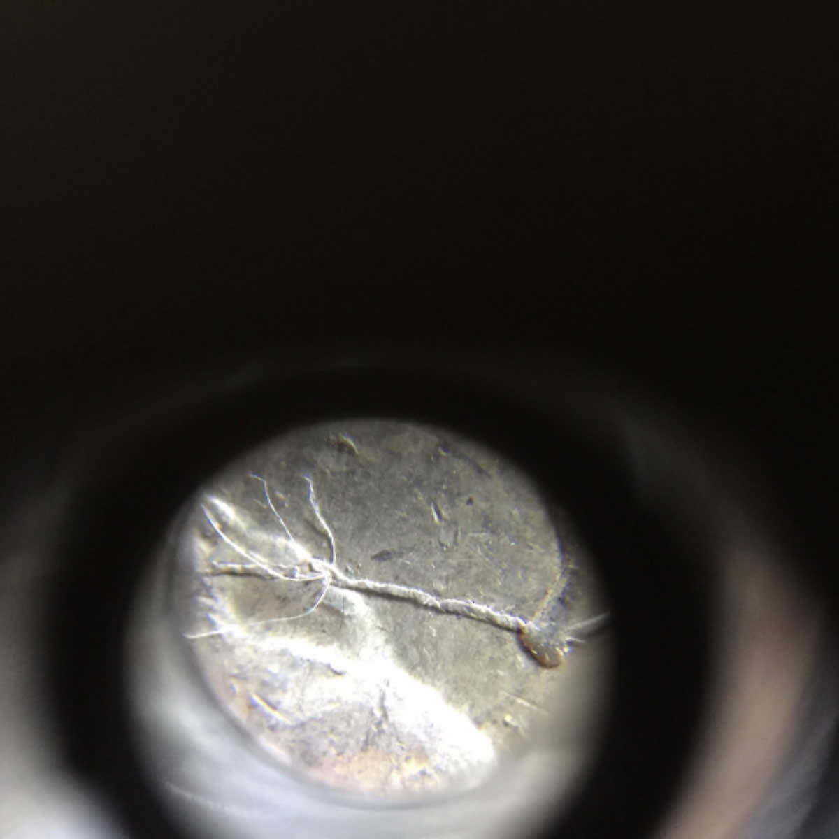 1922-Peace-Dollar�cant-Tell-What-This-Is-On-The-Coin-So-I-Bought-It