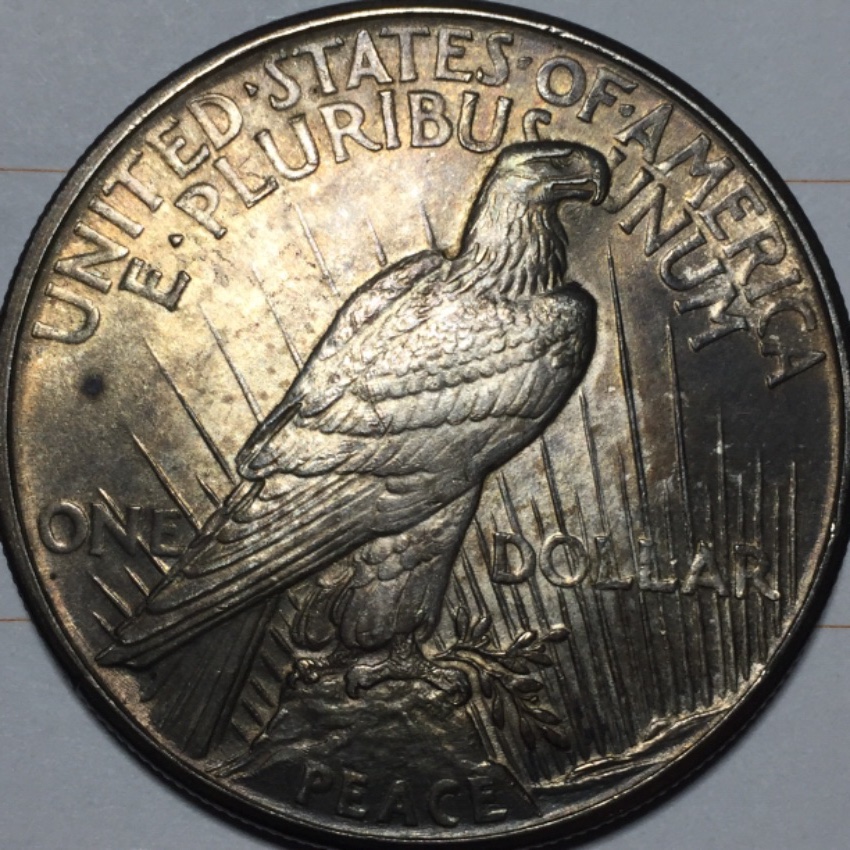 1921-Peace-Dollar—opinion-And-Grade-Of-The-Coin