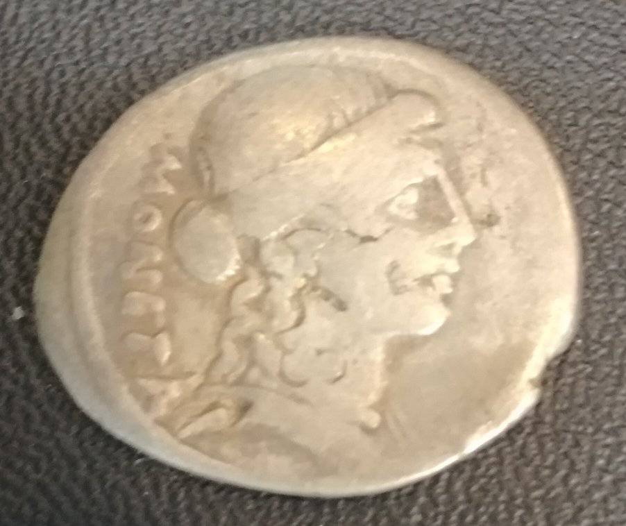 Found-All-Of-These-Roman-Coins-At-A-Local-Jewelery-Store-Part-1