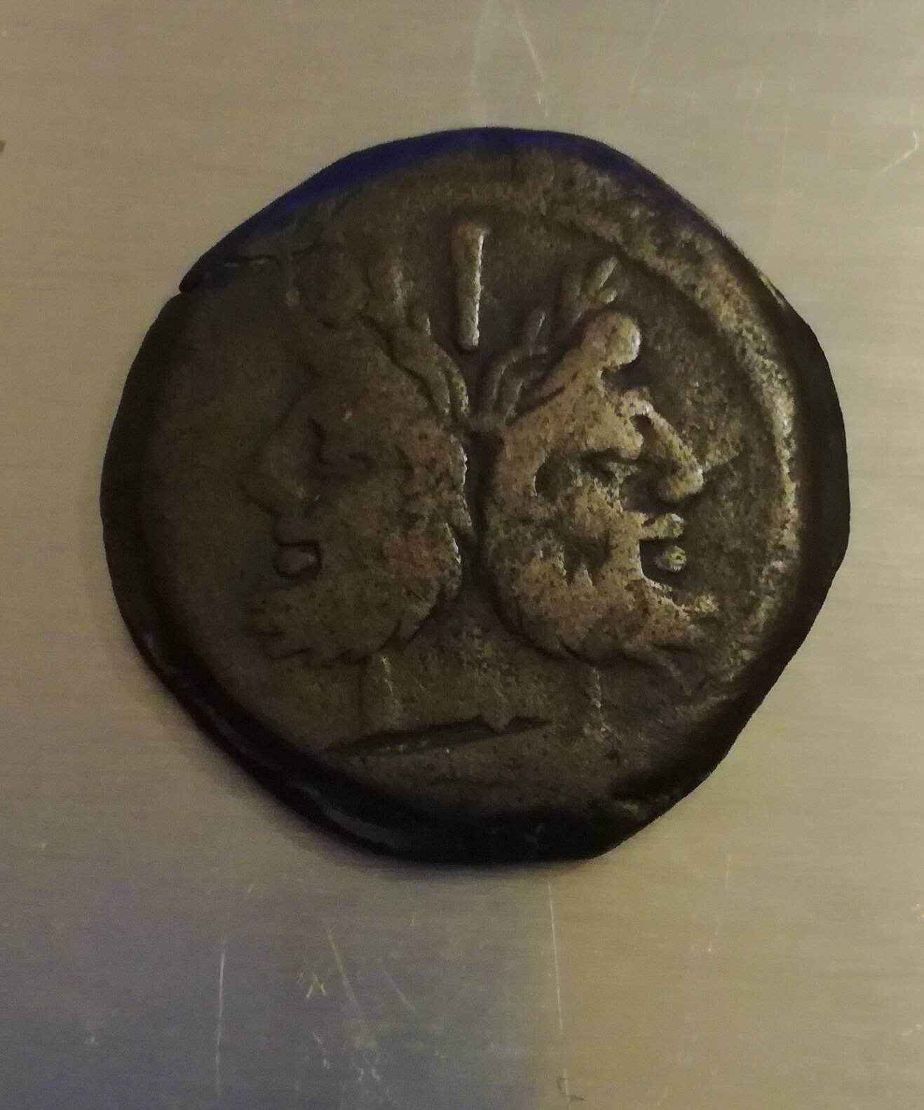 As-Janus-Query-About-Weight