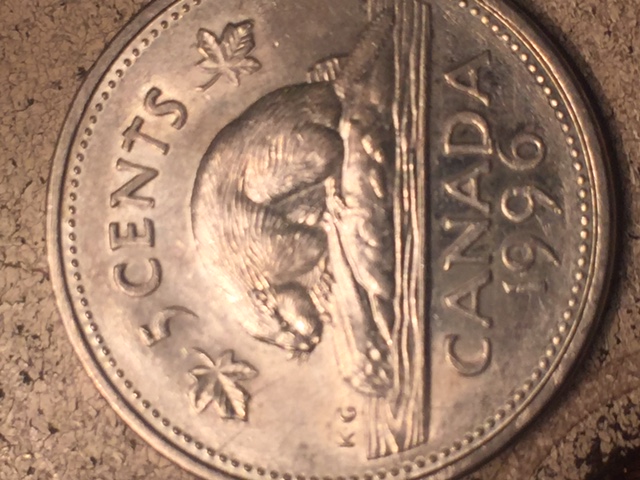 Got-Lucky,-Attached-6-Nickel