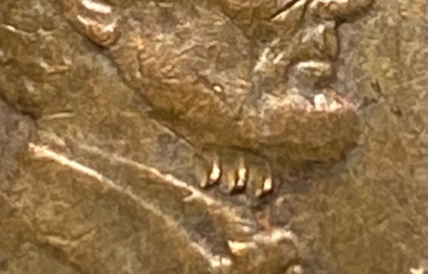 1978-Penny,-What's-Wrong-With-Abrahams-Neck?