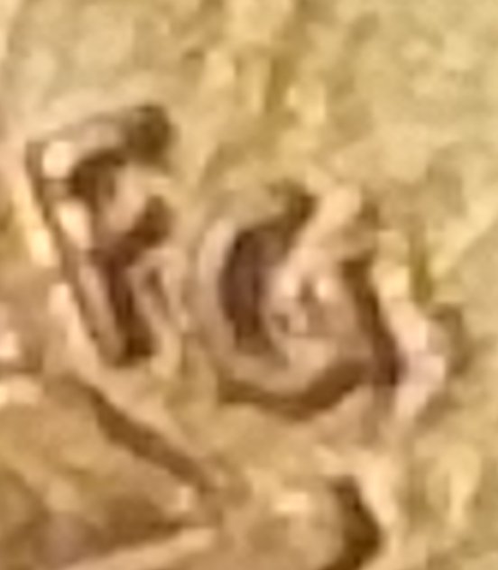 1994-D-Lincoln-Penny,--Is-This-A-Wide-AM-Error?-Look