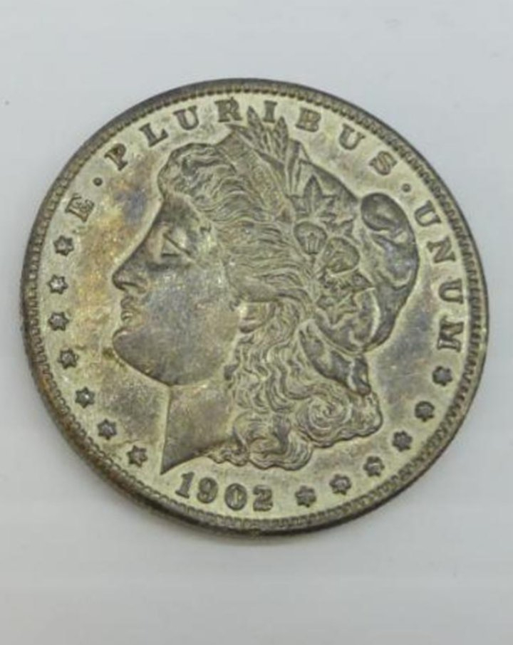 HI-Guys-Please-Grade-My-1902-O-One-Dollar-Piece-Please