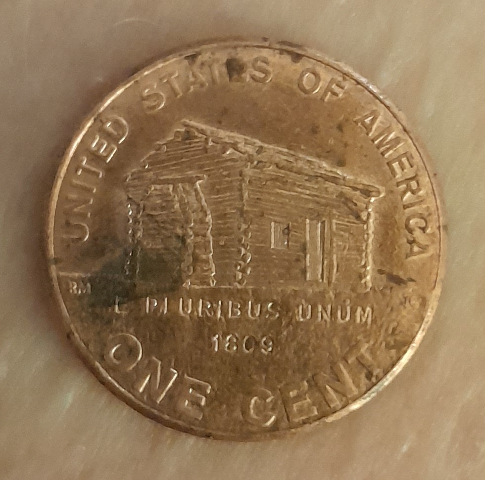 2009-Penny-With-A-House