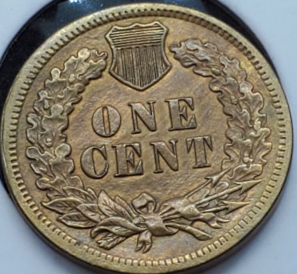1901-Indian-Head-Cent-W/-Rim-Anomalies.......error?