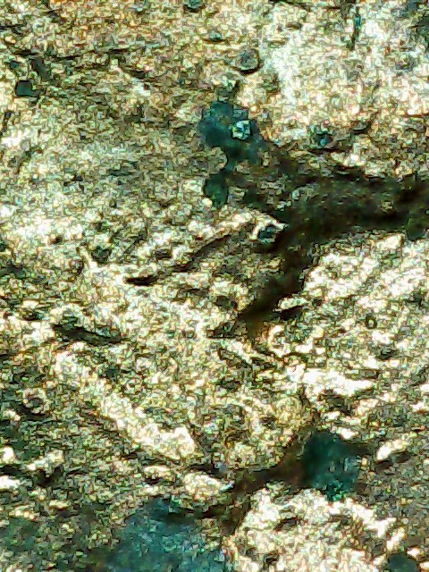 1983-Lincoln-Cent.something-Going-On-Inbetween-The-Pillars-And-Maybe-A-Diecrack?