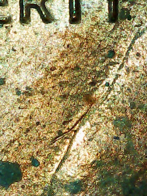 1983-Lincoln-Cent.something-Going-On-Inbetween-The-Pillars-And-Maybe-A-Diecrack?