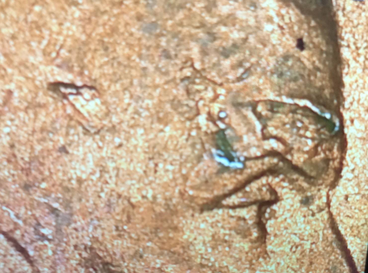 2000-D--Lincoln-Cent-Possible-Error?