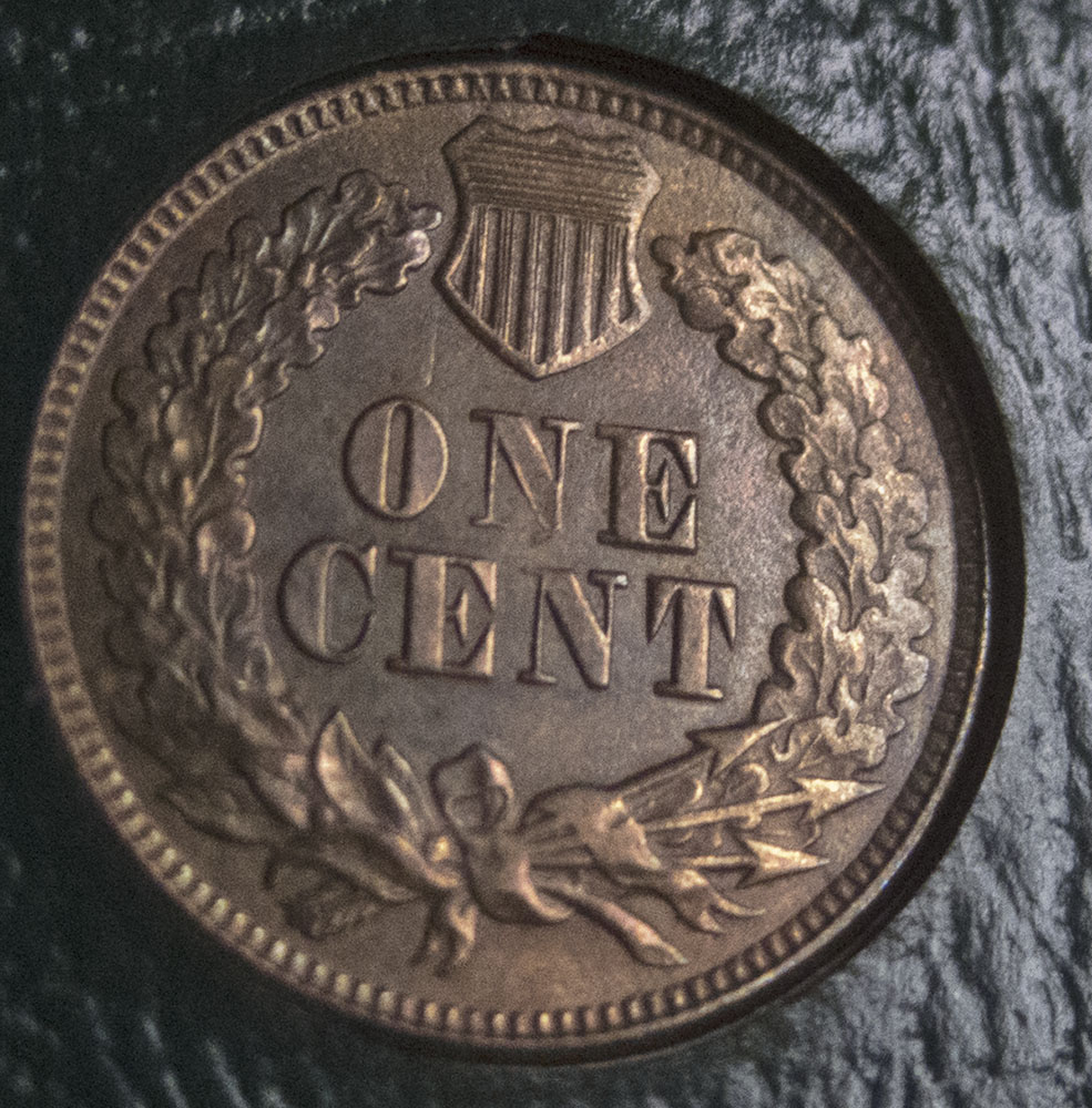 1877-Indian-Head-Penny---Any-Input?