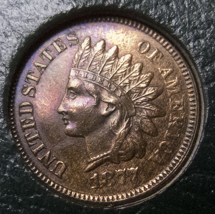 1877-Indian-Head-Penny---Any-Input?