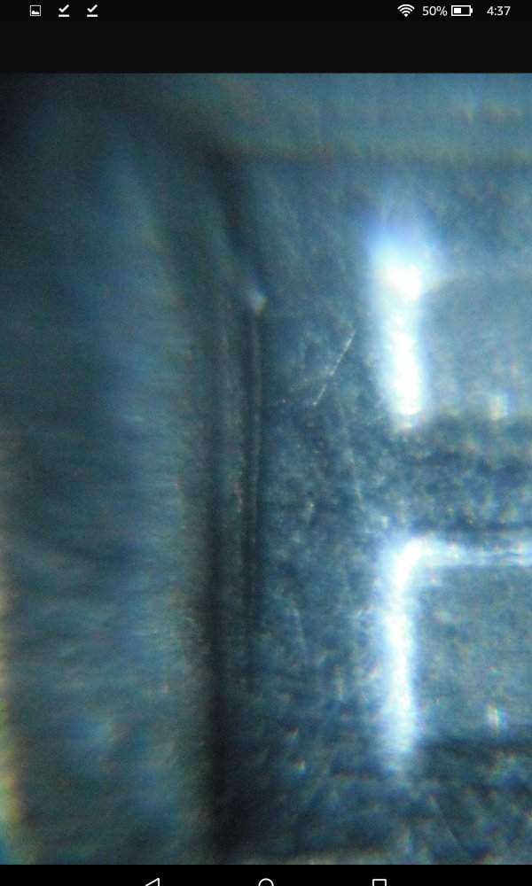 1977-Kennedy-Half-Dollar-Triple-Strike-Reverse-Or-DDR?