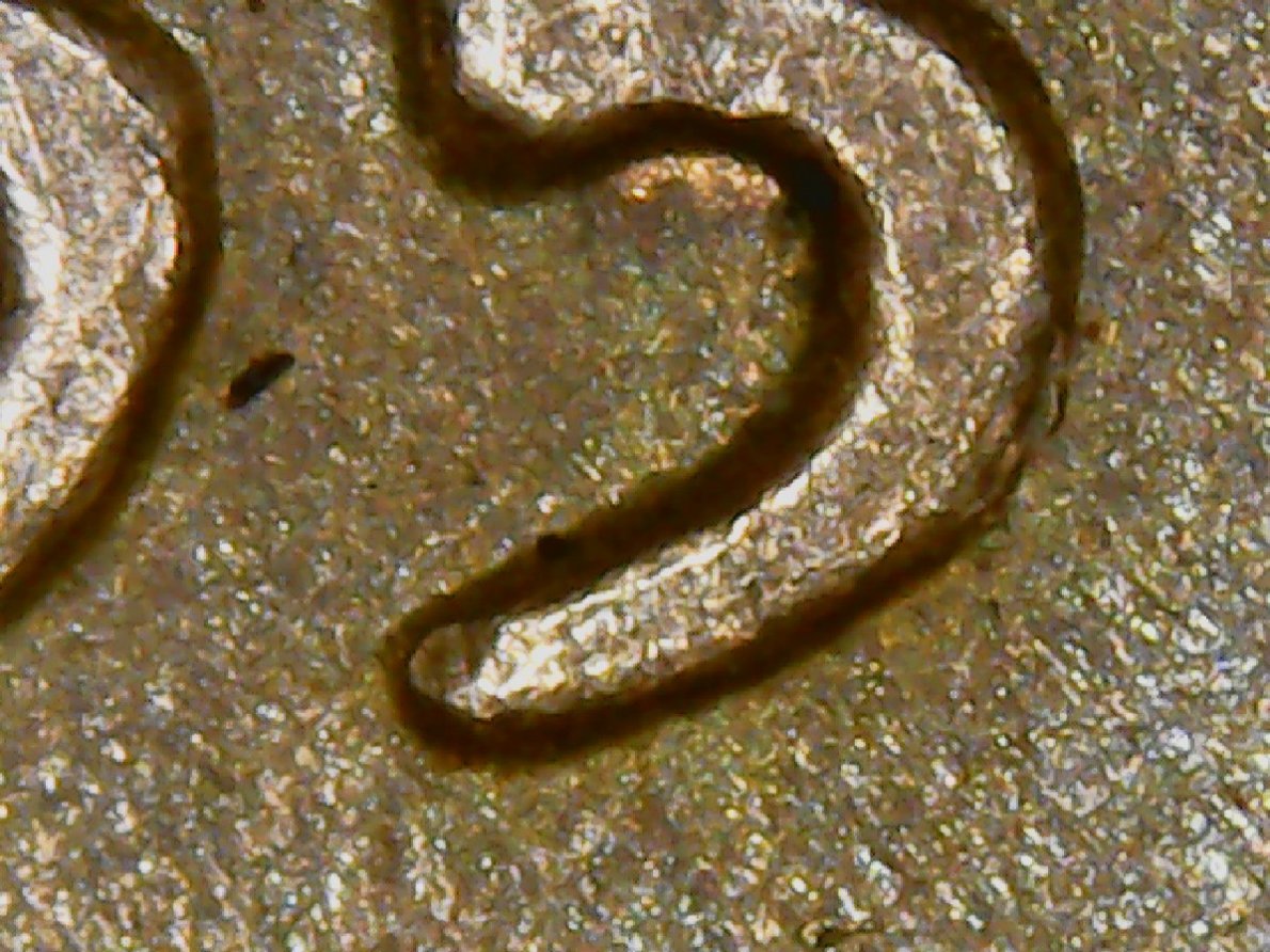 Found-This-1955-D-In-The-
