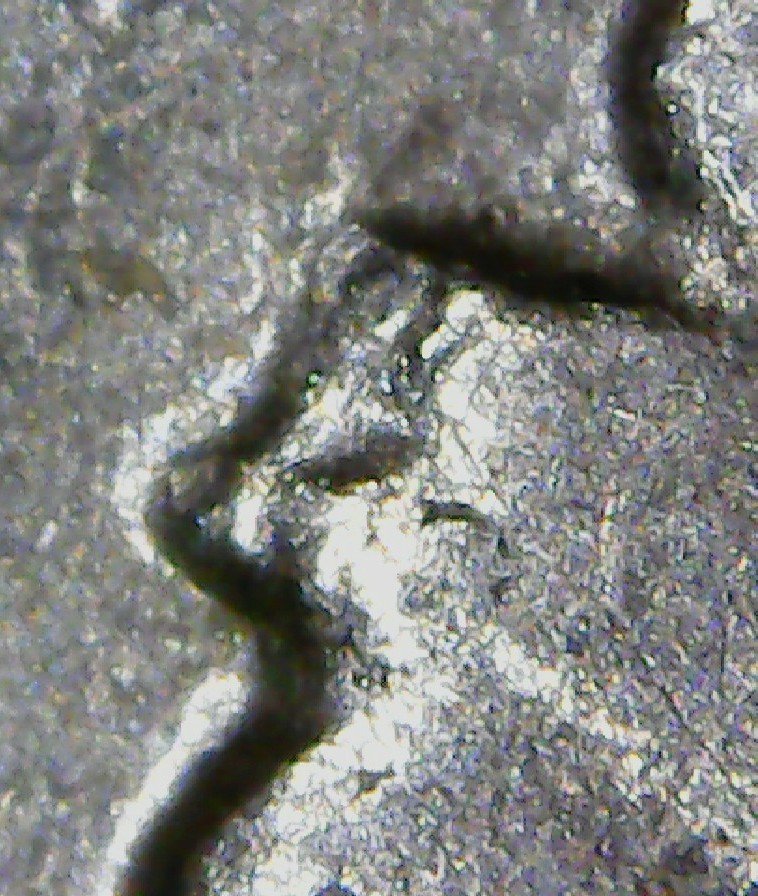 2001-D-New-York-Quarter-W/-Camel-Joe-Liberty-Statue