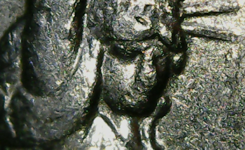 2001-D-New-York-Quarter-W/-Camel-Joe-Liberty-Statue