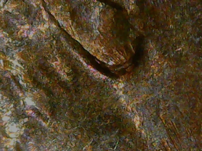 1974-D-LMC-With-3-Earlobes