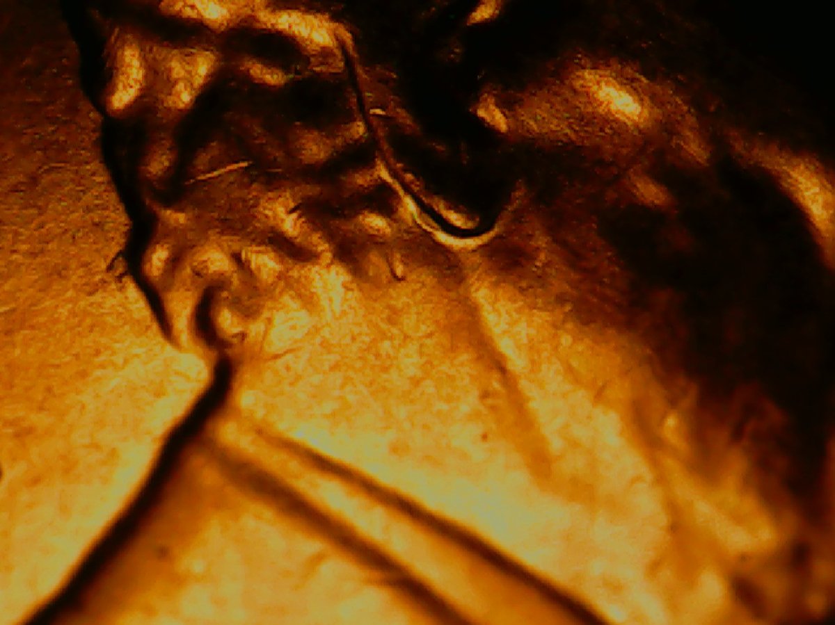 2020-D-LSC-Possible-New-Double-Earlobe-Listing