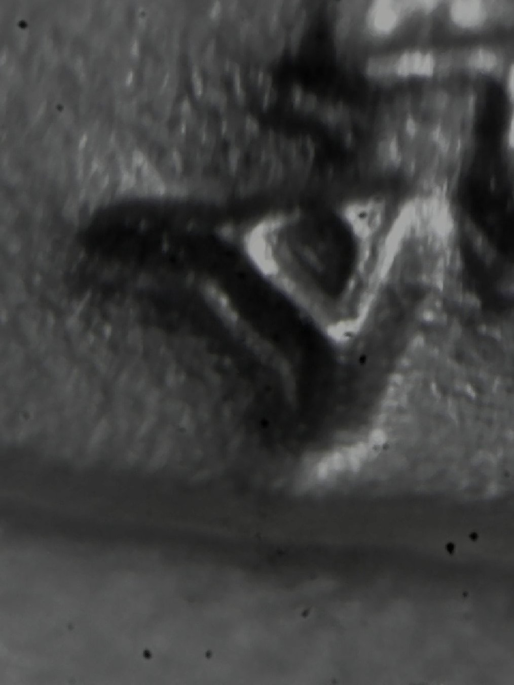 2020-PCGS-MS-70-First-Strike--1-Oz.-Silver-Eagle--DDO...