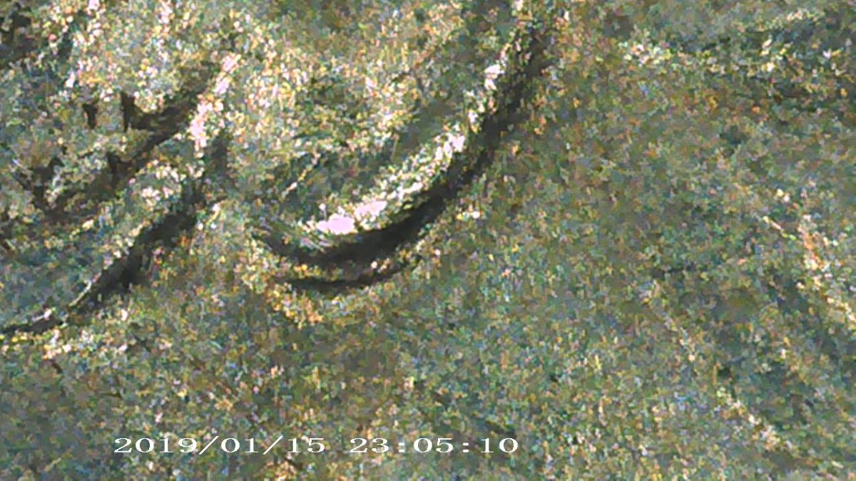 1976-Bicentennial-Quarter-DDO?
