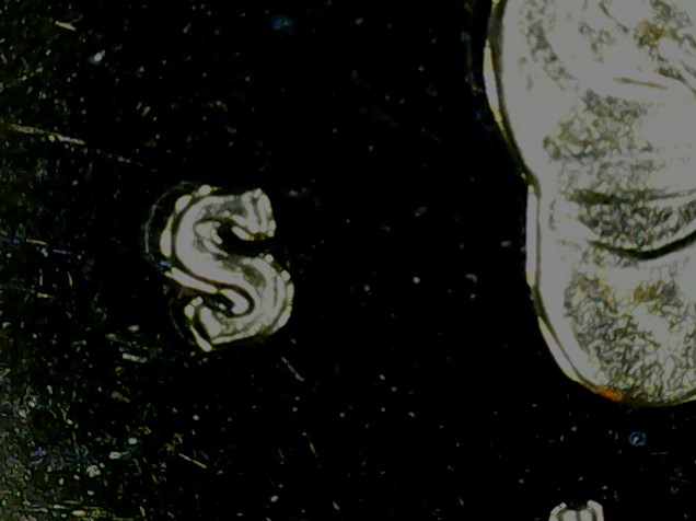 I'm-New-Here-And-To-Coin-Collecting-I-Would-Like-To-Know-If-I-Found-A-Rare-2002-S-Mississippi-Quarte