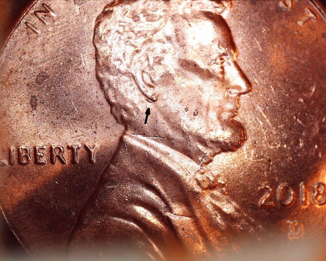 2018-D-Penny-DDO----Earlobe