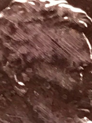 2010-D-Lincoln-Shield-Penny-From-Mint-Uncirculated-Just-Opened-Error?