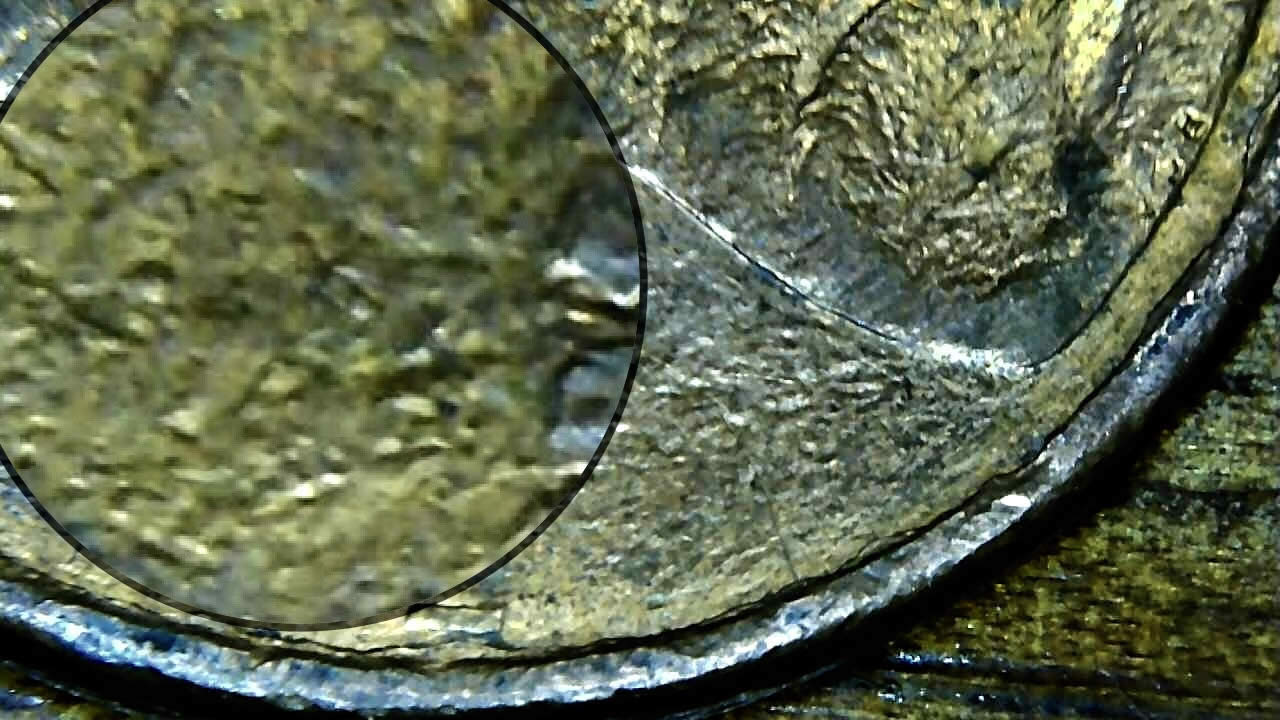 2005-Philly-Mint-Error-Penny?